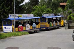 Pinocchio-Express b