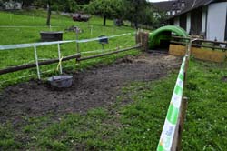 Startgelaende Schweinerennen